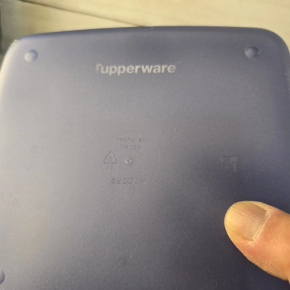 Tupperware Sandwich Keeper Navy Blue Hinged Lid Food Storage Container 8203A-1